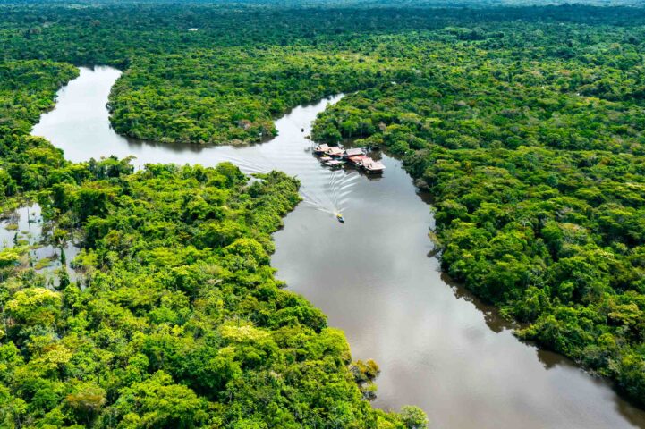 An aerial view of the Amazon rainforest.