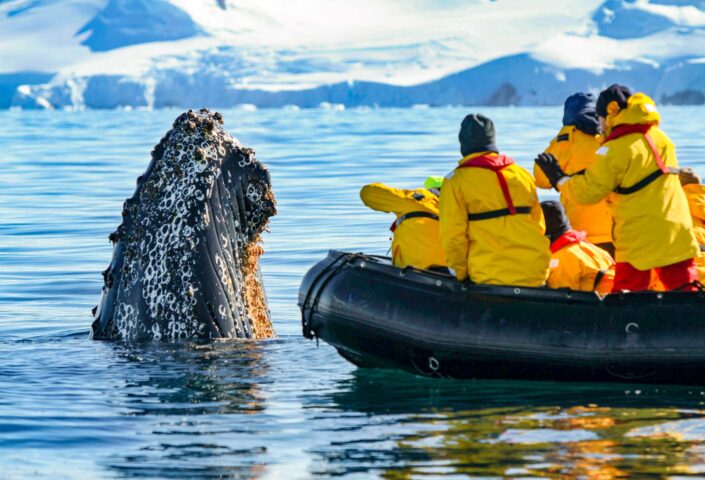 A whale swimming by a raft.