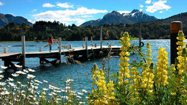 A lake shore in Argentina.