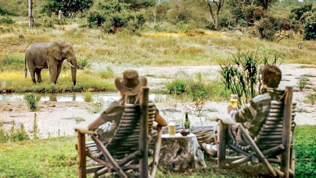 Two travelers observing an elephant.