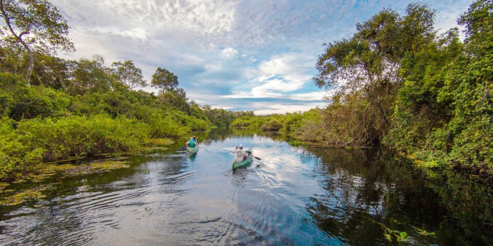 People canoeing on a river in Brazil.