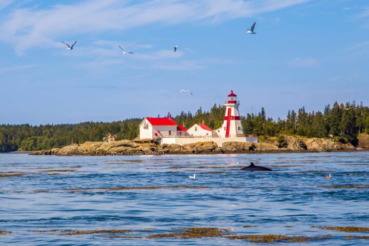 A lighthouse.