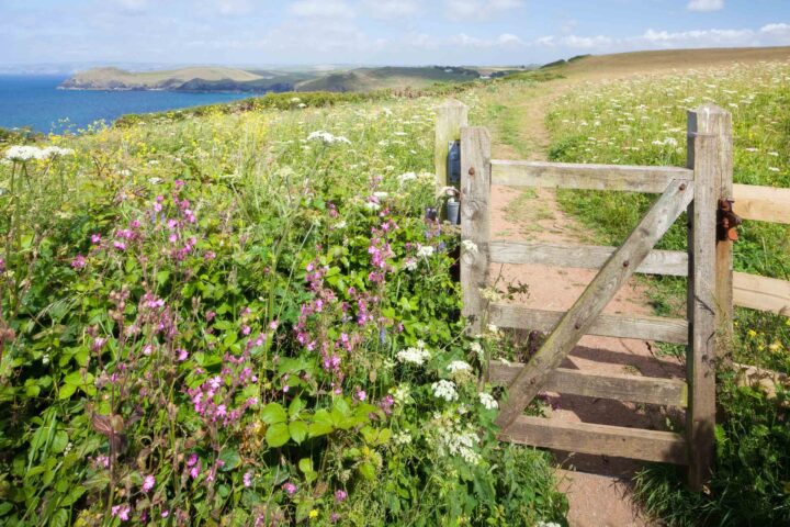 A path to Port Quinn Bay.