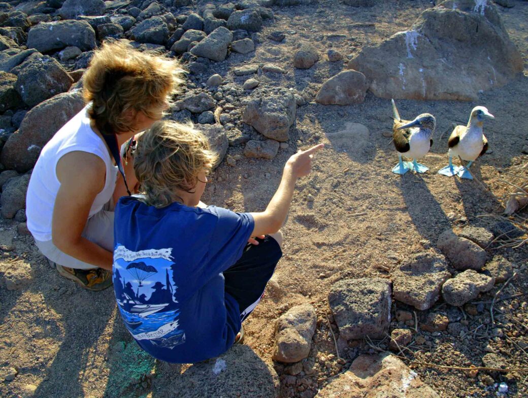 Two tourists observing two boobies.