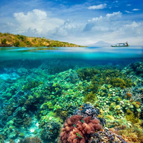 A view of a coral reef underwater and a volcano in the background.