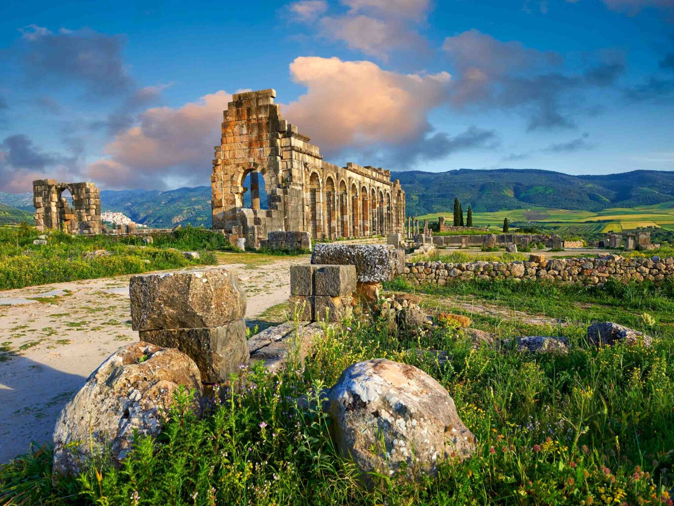 Springtime in the Atlas Mountains with blue wildflowers, greenery, rolling green hills, and ancient Roman ruins in foreground.