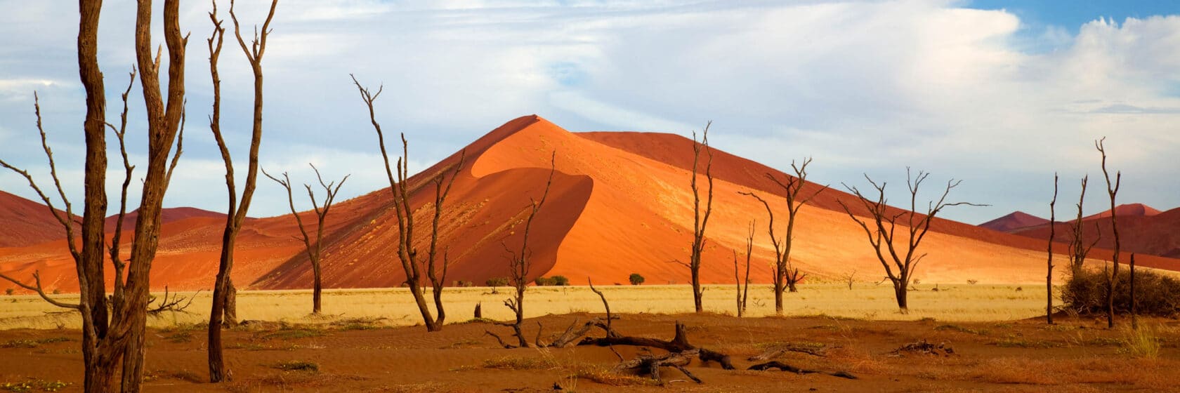 Namib Desert in Namibia.