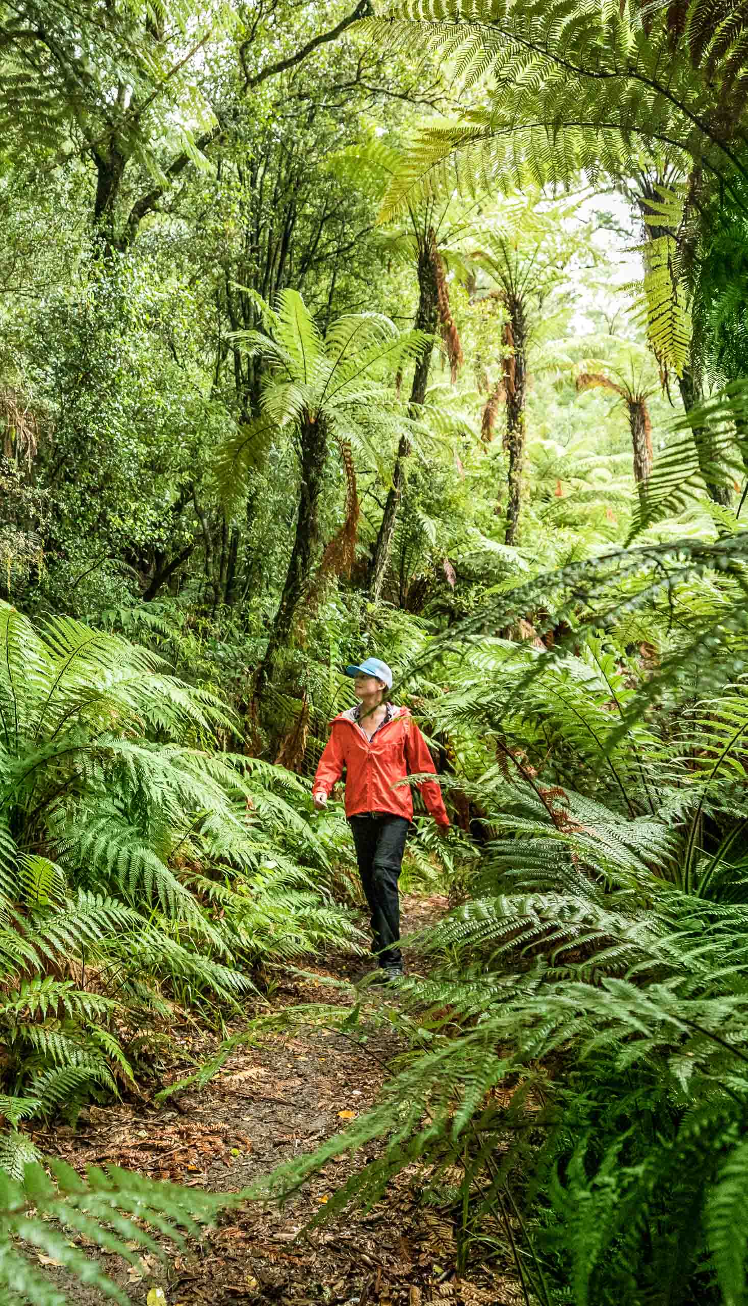 A woman hiking in New Zealand.