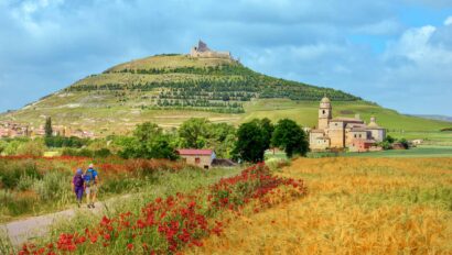 A field of wildflowers with a castle in the background.