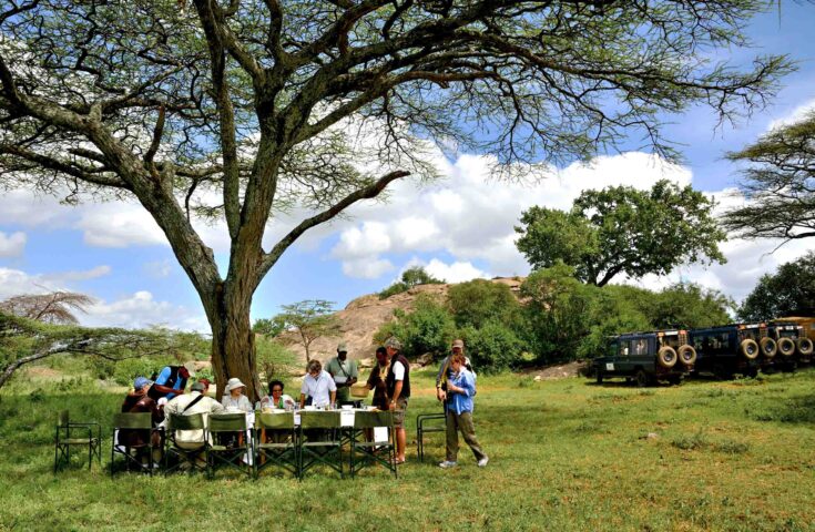 A group of people having a meal outside.