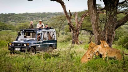 A group of people on a safari, observing three lions.