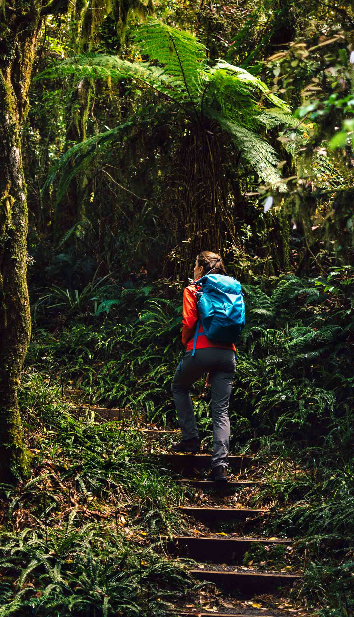 A hikers climbing steps in a hike.