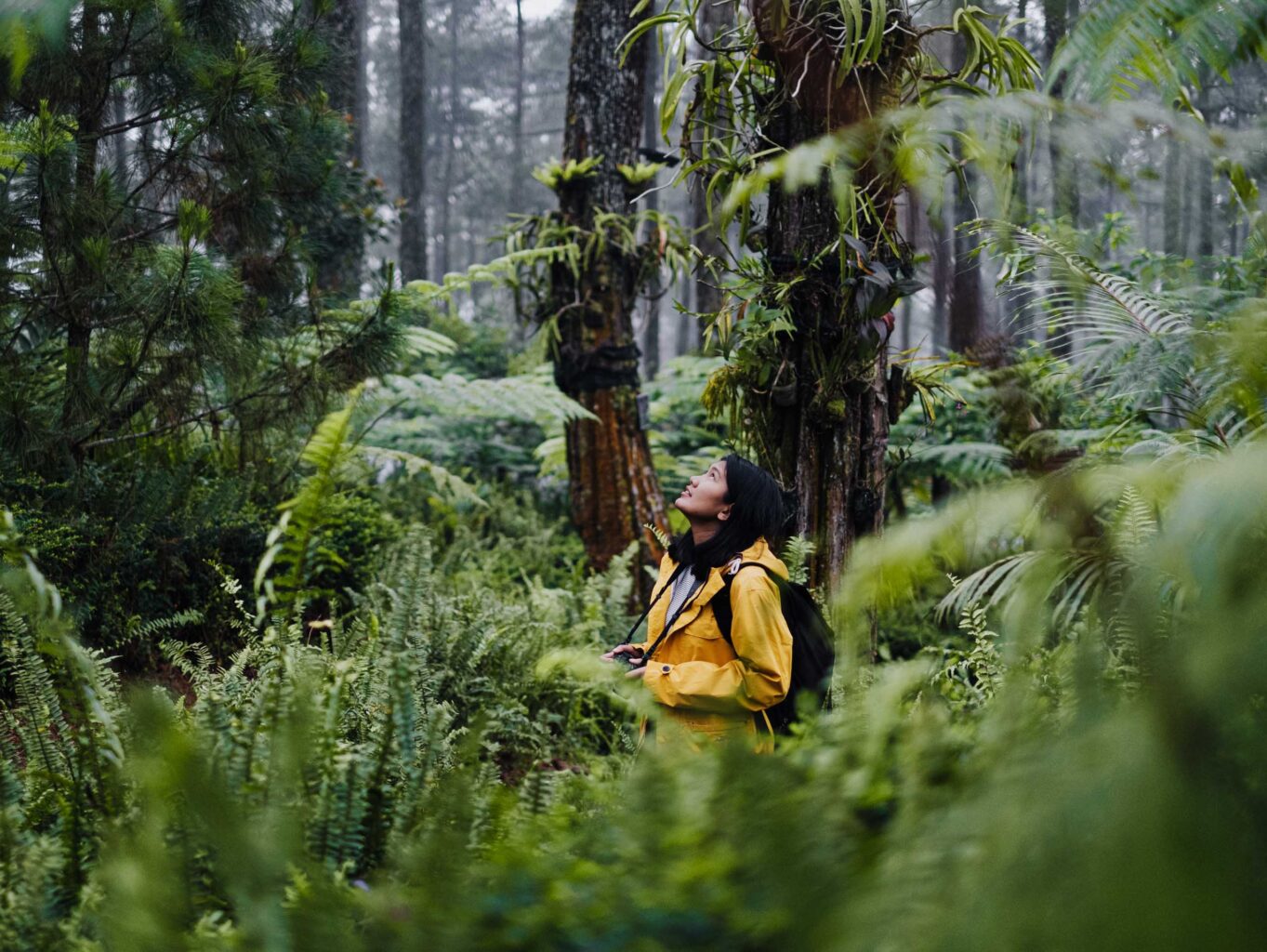 A traveler exploring Bandung, Indonesia.