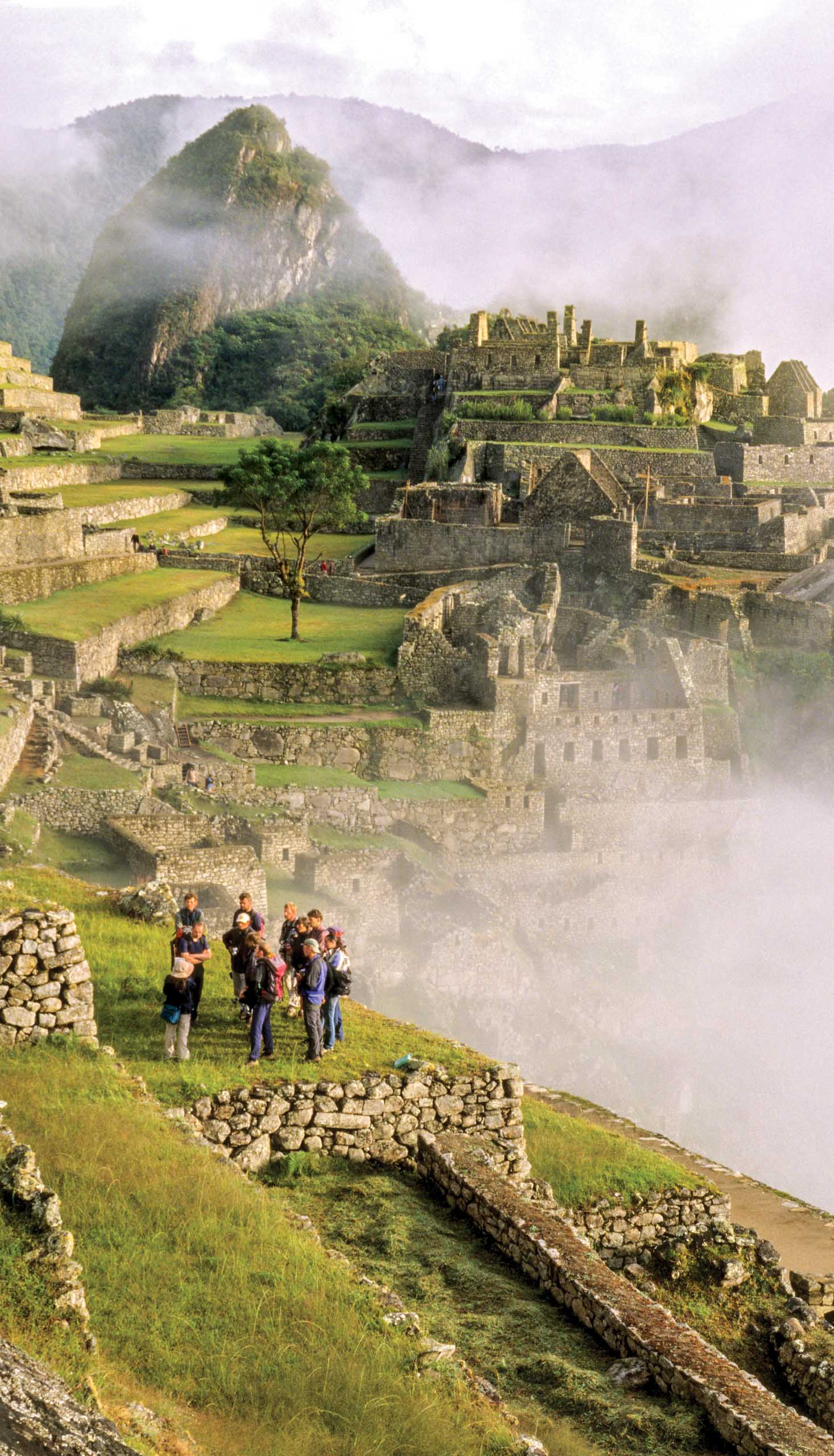 A group of travelers walking on the Inca trail.