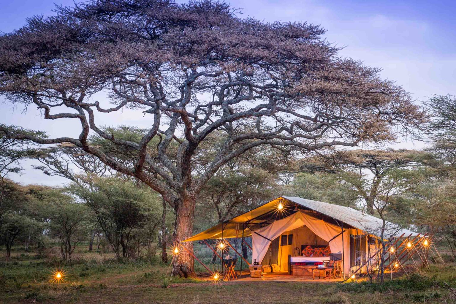 The exterior of a tent on a campsite.